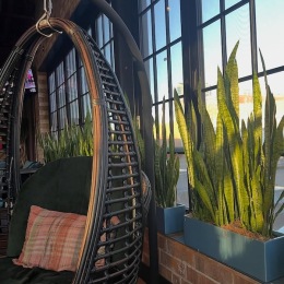 a chair with a plant