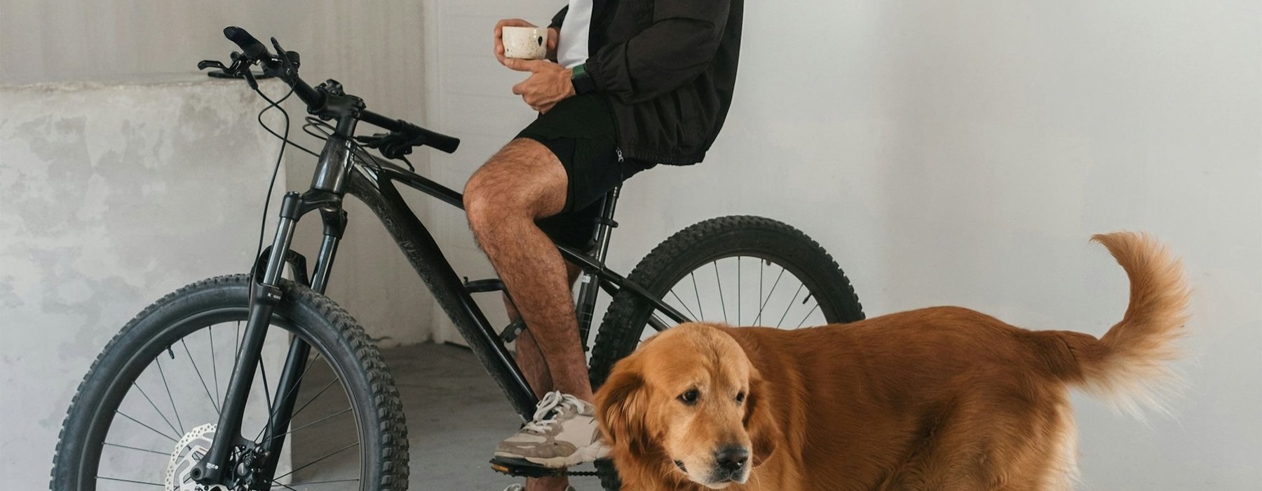 a man sitting on a bike next to a dog