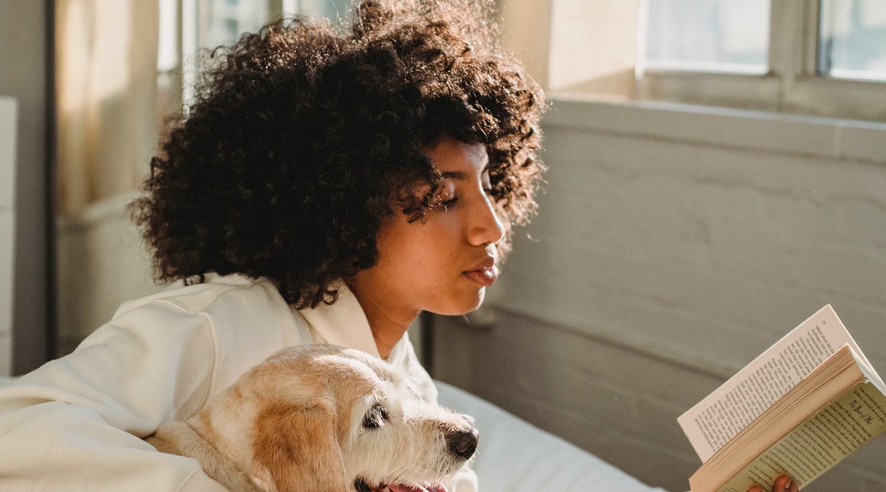 a person reading a book with a dog by them